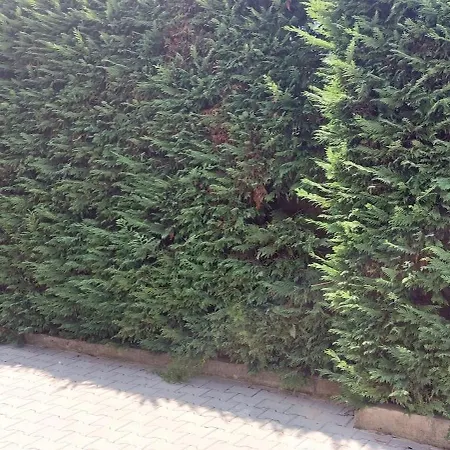 Apartment Iliria Durrës